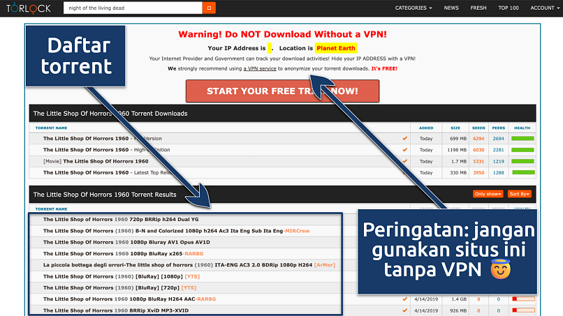 Screenshot of the Torlock results page