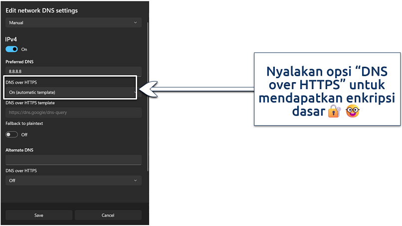 Screenshot of the custom DNS settings on Windows 11
